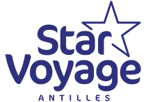 Firmenlogo Star Voyage