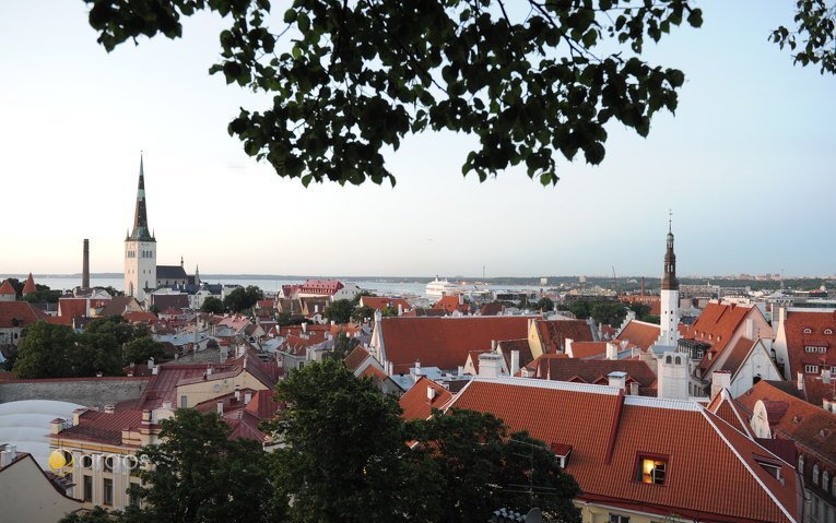 Blick auf die Hauptstadt Tallinn