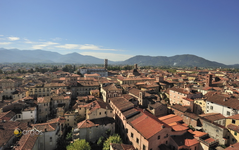 Blick über Lucca