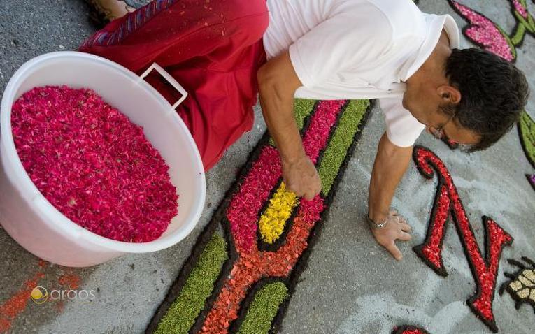 Vorbereitung eines Blumenteppichs in Briatico