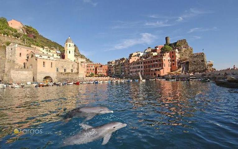 Blick auf Vernazza mit Delfinen - Cinque Terre