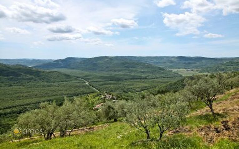 Landschaft von Istrien