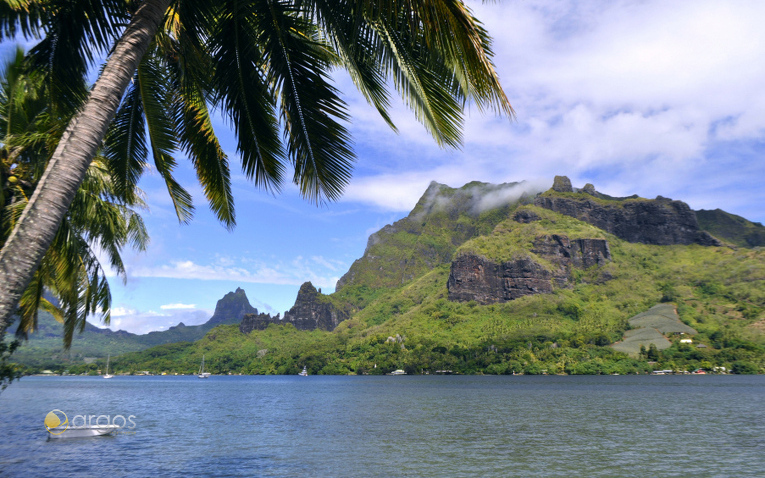 Foto von Tahiti & Moorea