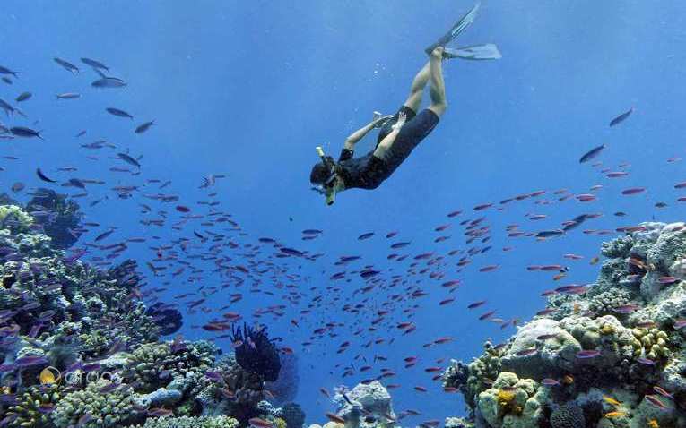 Entdecken Sie die bunte Unterwasserwelt Neukaledoniens