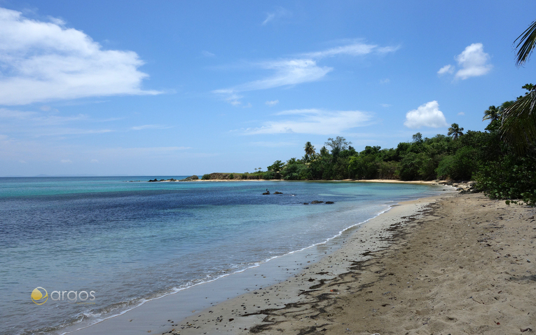 Strand auf der Insel Vieques