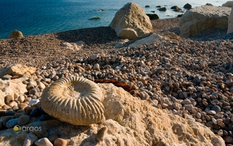 Fossiliensuche an der Jurassic Coast Charmouth, Dorset 