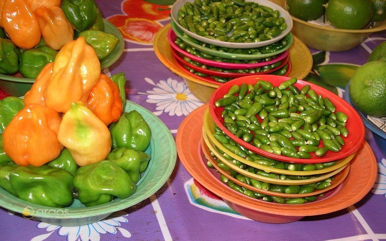 Auswahl an Mexikanischen Chilisorten