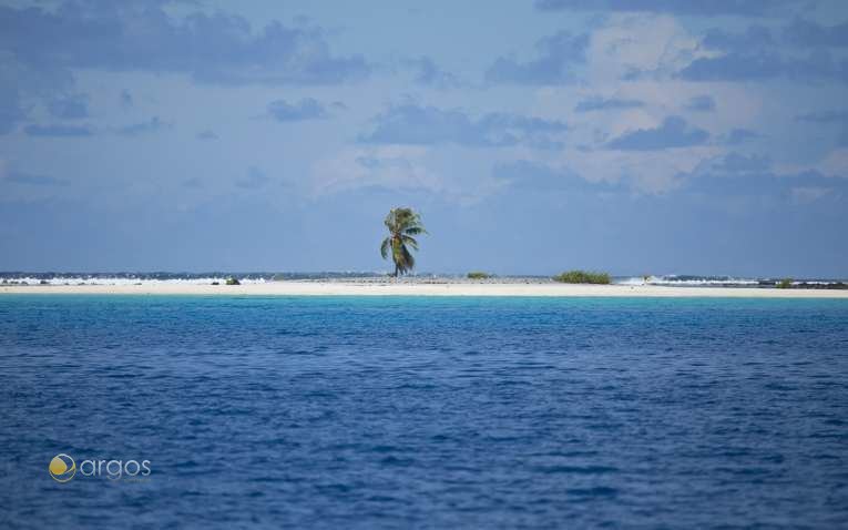 Tikehau Atoll - Toamotu Inseln