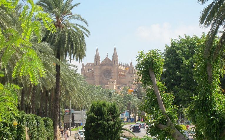 Blick zur Kathedrale La Seu, das Wahrzeichen Mallorcas