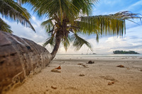  Cocos Island, Grande Soeur, Anse Volbert